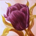 /album/fotogaleria-fine-art/a2010-purple-tulip2-aa-jpg/